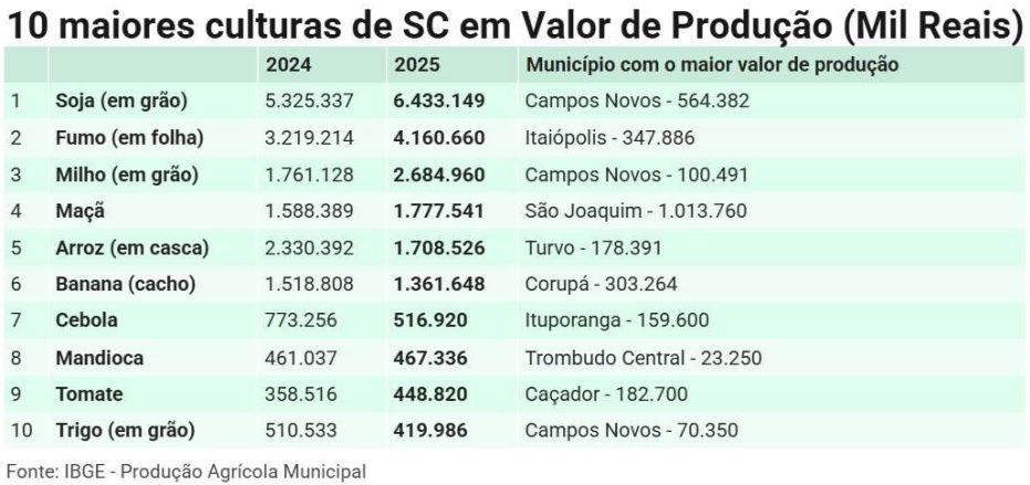 Produção agrícola de SC cresce 12,8% e chega a R$ 22,1 bilhões em 2025 2 Foto Agricultura1